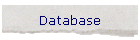 Database