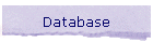 Database
