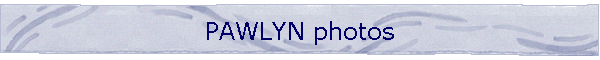 PAWLYN photos